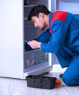 Emergency Fridge Repair Available